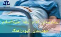  ۱۱ هزار بیمار به اورژانس بیمارستان امام رضا(ع) کبودراهنگ در نوروز ۱۴۰۴ مراجعه کردند.